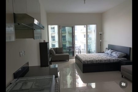 Furnished Studio in Damac Hills 2